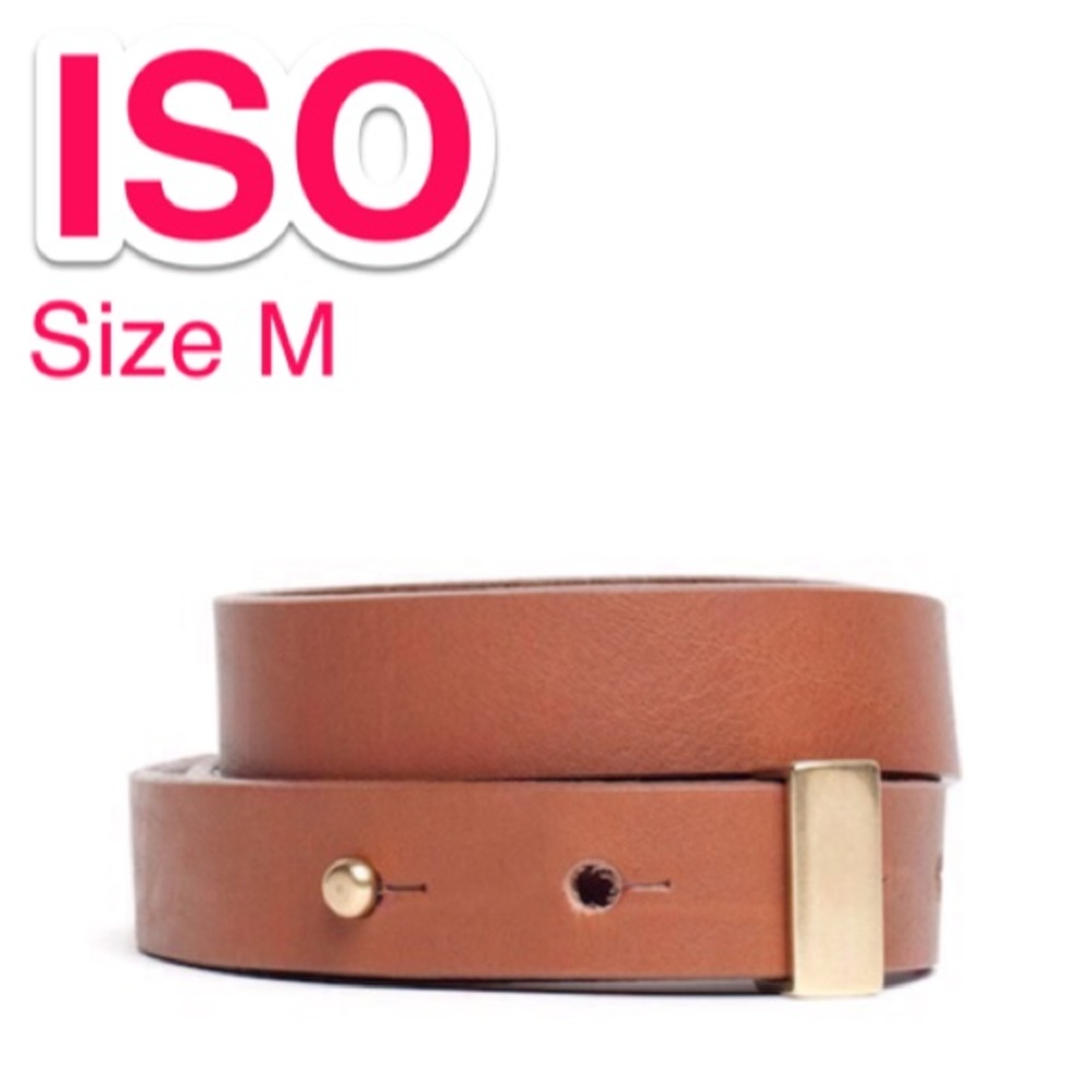 ISO Everlane High-Low Belt - M